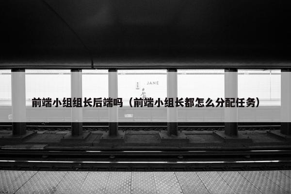 前端小组组长后端吗（前端小组长都怎么分配任务）