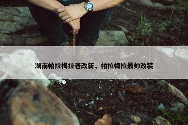 湖南帕拉梅拉老改新，帕拉梅拉最帅改装
