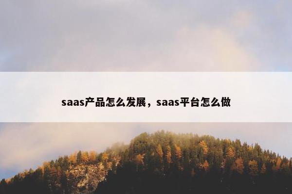 saas产品怎么发展，saas平台怎么做