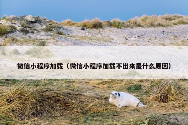 微信小程序加载（微信小程序加载不出来是什么原因）