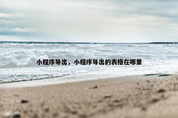 小程序导出，小程序导出的表格在哪里