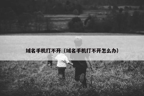 域名手机打不开（域名手机打不开怎么办）