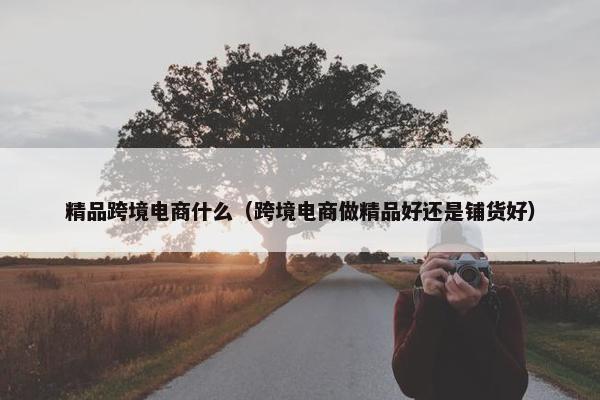 精品跨境电商什么（跨境电商做精品好还是铺货好）