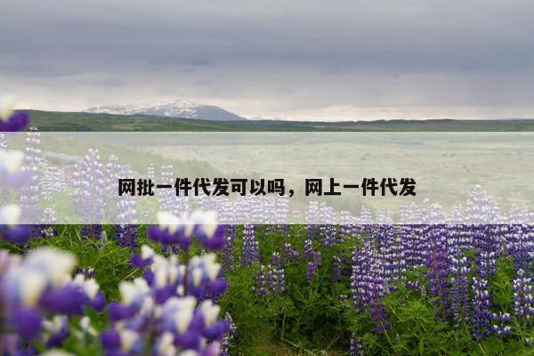 网批一件代发可以吗，网上一件代发