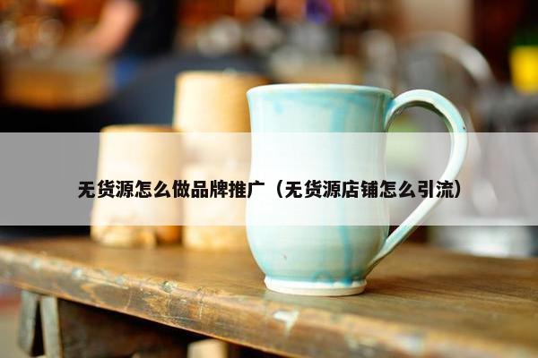 无货源怎么做品牌推广（无货源店铺怎么引流）