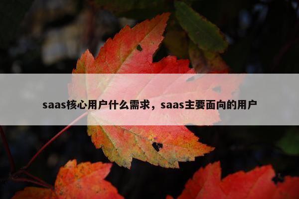 saas核心用户什么需求，saas主要面向的用户