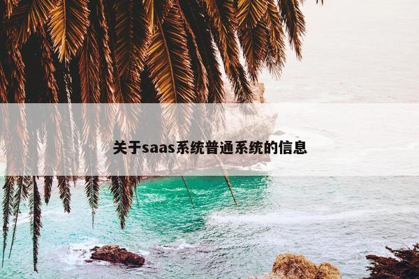 关于saas系统普通系统的信息