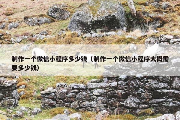 制作一个微信小程序多少钱（制作一个微信小程序大概需要多少钱）