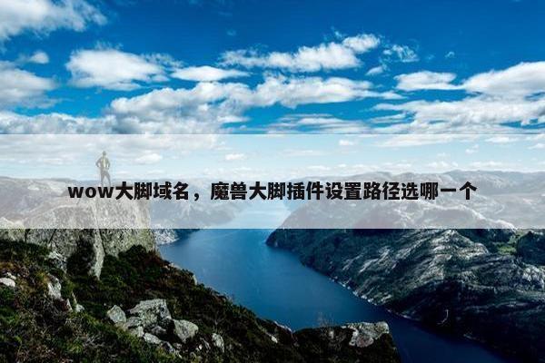 wow大脚域名，魔兽大脚插件设置路径选哪一个
