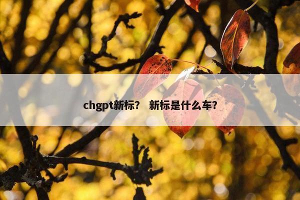 chgpt新标？ 新标是什么车？