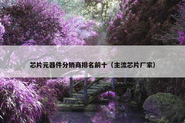 芯片元器件分销商排名前十（主流芯片厂家）