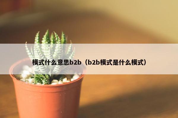 模式什么意思b2b（b2b模式是什么模式）