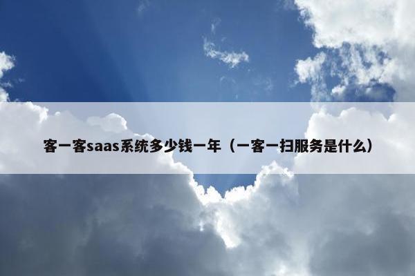 客一客saas系统多少钱一年（一客一扫服务是什么）