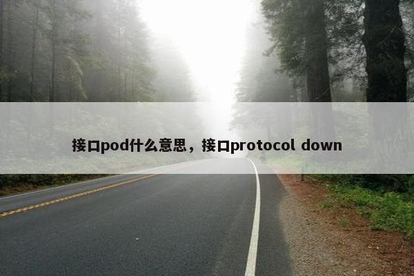 接口pod什么意思，接口protocol down