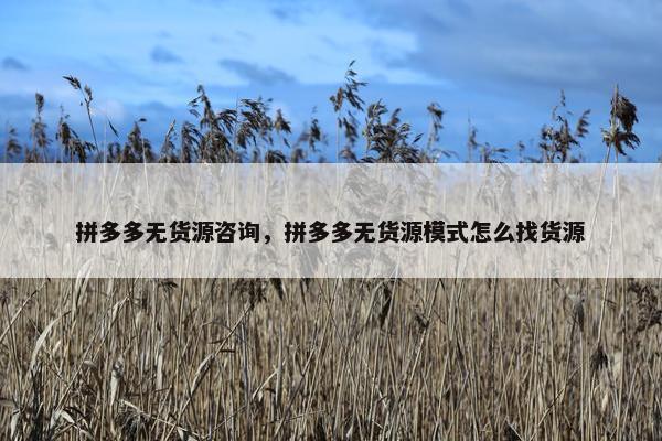 拼多多无货源咨询，拼多多无货源模式怎么找货源
