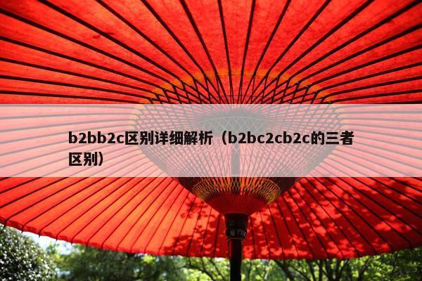 b2bb2c区别详细解析（b2bc2cb2c的三者区别）