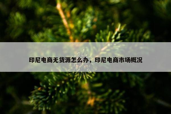 印尼电商无货源怎么办，印尼电商市场概况