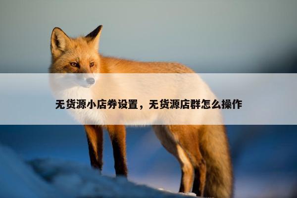 无货源小店券设置，无货源店群怎么操作