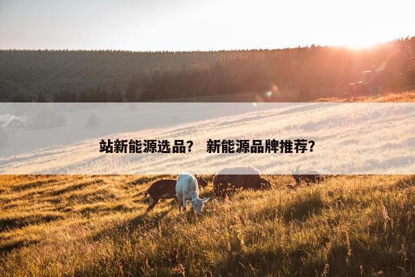 站新能源选品？ 新能源品牌推荐？