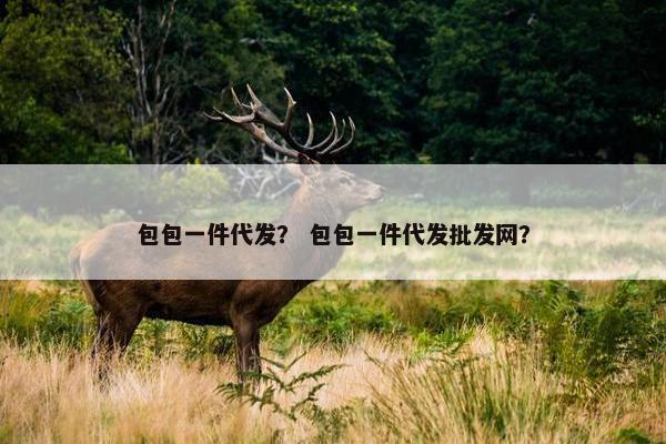 包包一件代发？ 包包一件代发批发网？