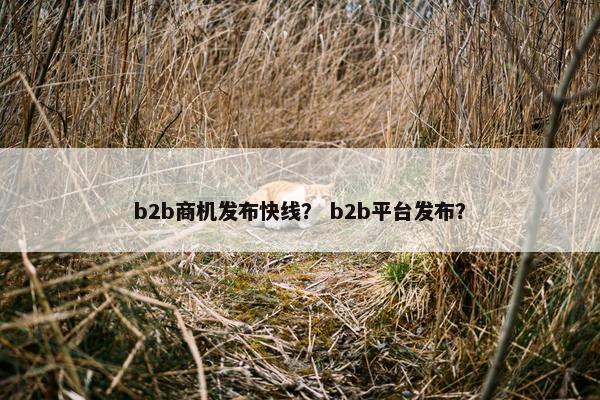 b2b商机发布快线？ b2b平台发布？