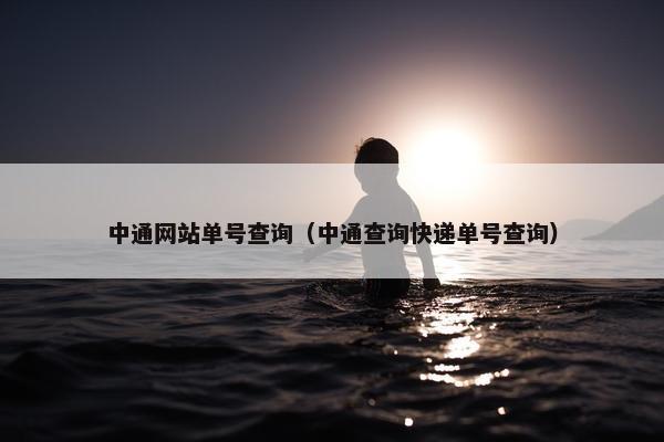 中通网站单号查询（中通查询快递单号查询）