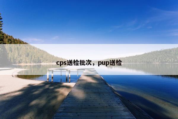 cps送检批次，pup送检