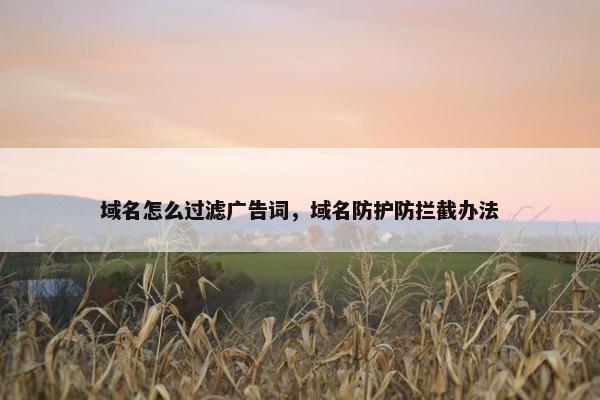 域名怎么过滤广告词，域名防护防拦截办法