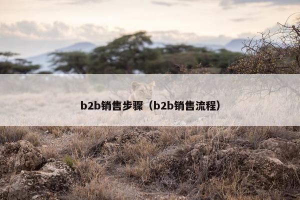 b2b销售步骤（b2b销售流程）