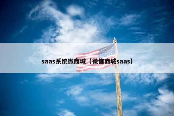 saas系统微商城（微信商城saas）