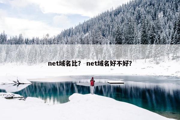 net域名比？ net域名好不好？