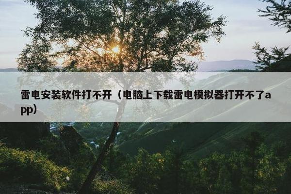 雷电安装软件打不开（电脑上下载雷电模拟器打开不了app）