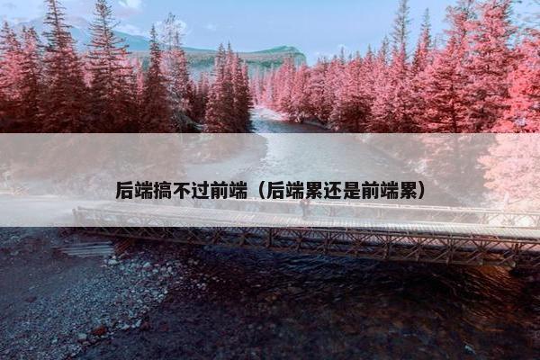 后端搞不过前端（后端累还是前端累）