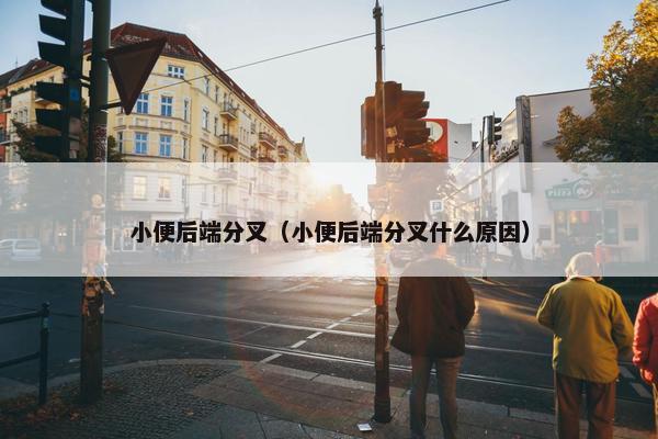 小便后端分叉（小便后端分叉什么原因）