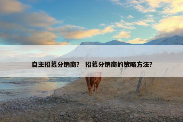 自主招募分销商？ 招募分销商的策略方法？