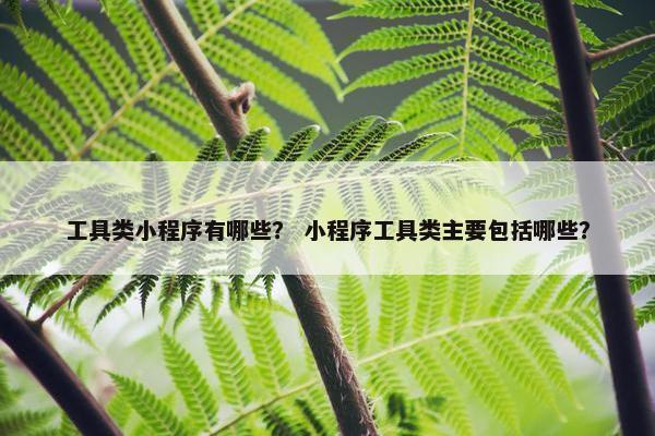 工具类小程序有哪些？ 小程序工具类主要包括哪些？