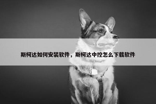 斯柯达如何安装软件，斯柯达中控怎么下载软件