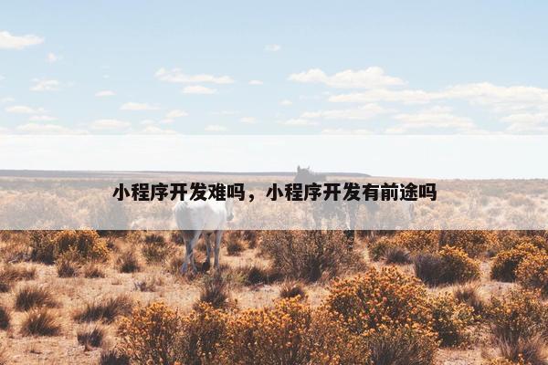 小程序开发难吗，小程序开发有前途吗