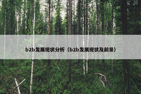 b2b发展现状分析（b2b发展现状及前景）