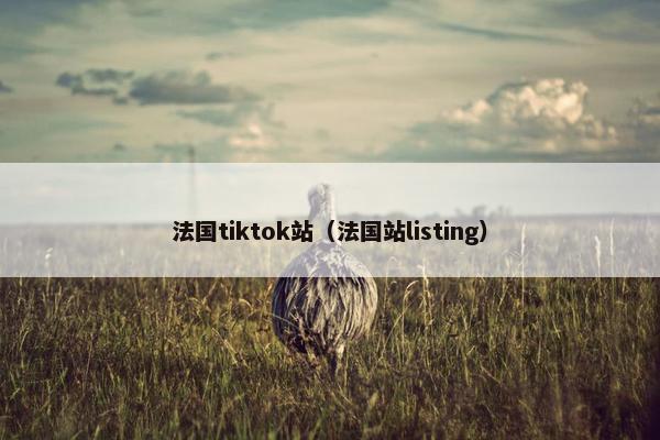 法国tiktok站（法国站listing）