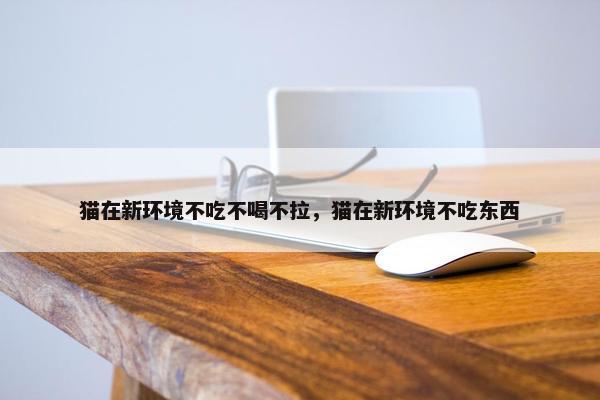 猫在新环境不吃不喝不拉，猫在新环境不吃东西