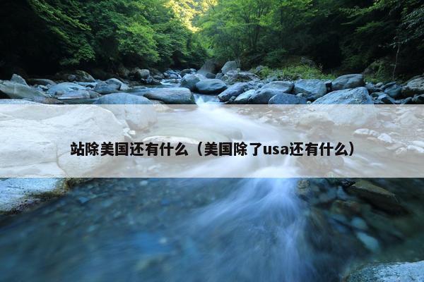 站除美国还有什么（美国除了usa还有什么）