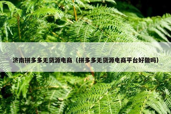 济南拼多多无货源电商（拼多多无货源电商平台好做吗）