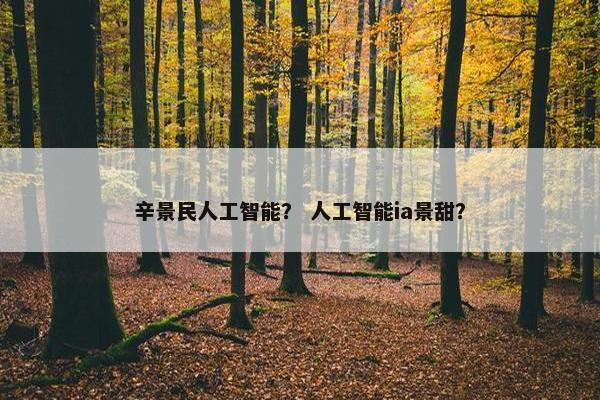 辛景民人工智能？ 人工智能ia景甜？