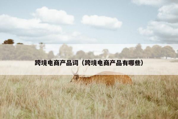 跨境电商产品词（跨境电商产品有哪些）