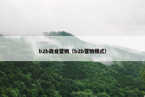 b2b商业营销（b2b营销模式）