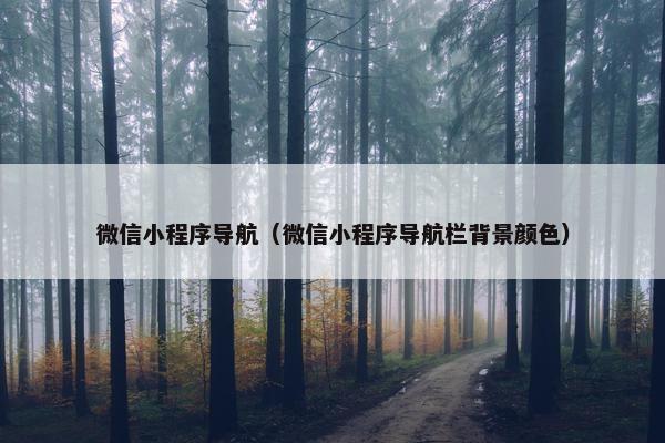 微信小程序导航（微信小程序导航栏背景颜色）