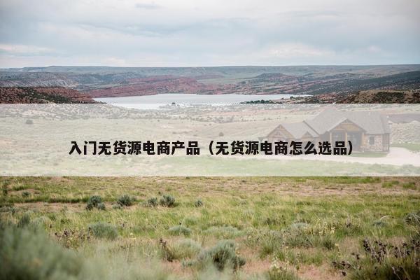 入门无货源电商产品（无货源电商怎么选品）