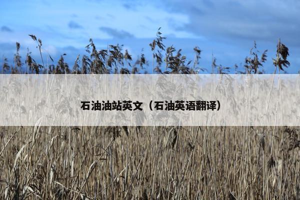 石油油站英文（石油英语翻译）