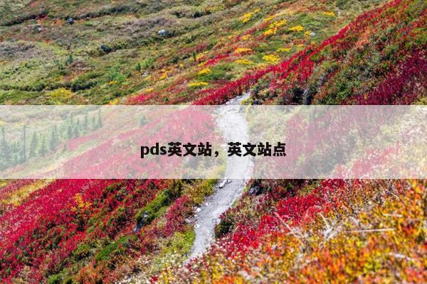pds英文站，英文站点